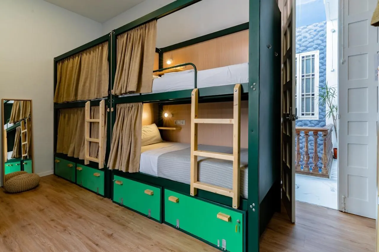 The Urban Jungle Hostel Malaga Spain