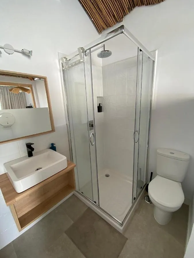 The Urban Jungle Hostel 马拉加