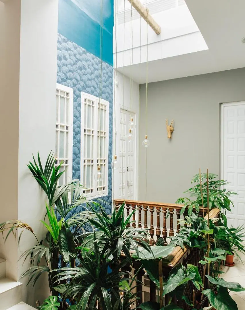 The Urban Jungle Hostel 马拉加 0*,